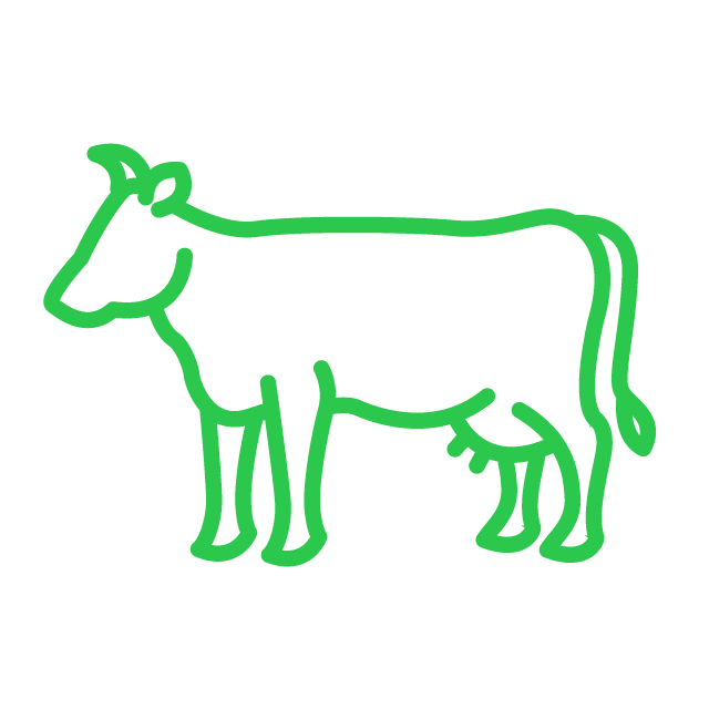 Beef