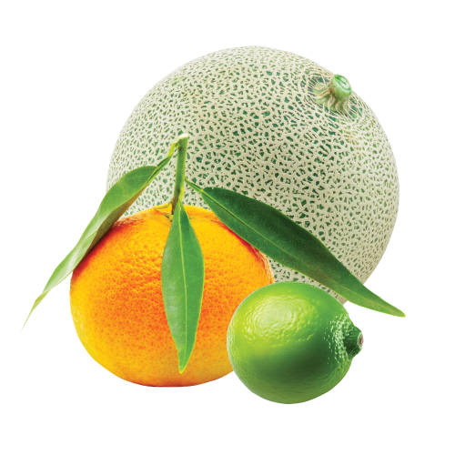 Citrus & Melon