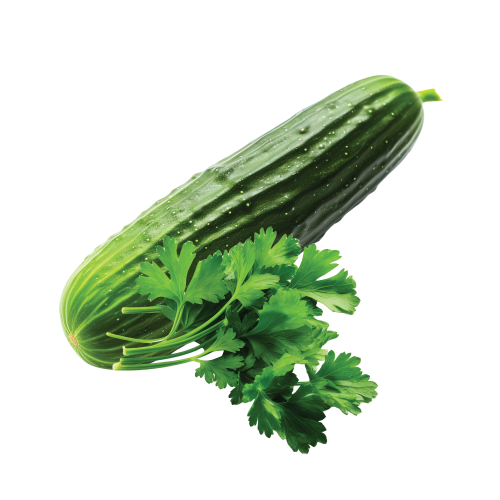 Cucumber & Celery