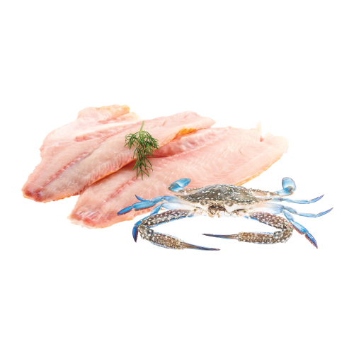Fish & Seafood