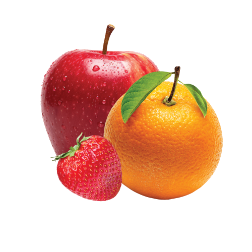 Fruits icon