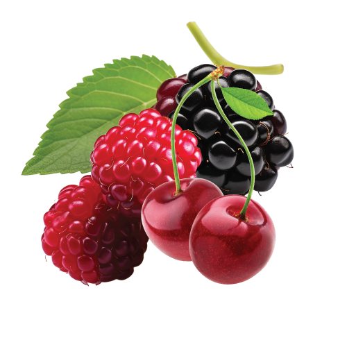 Grapes & Berries