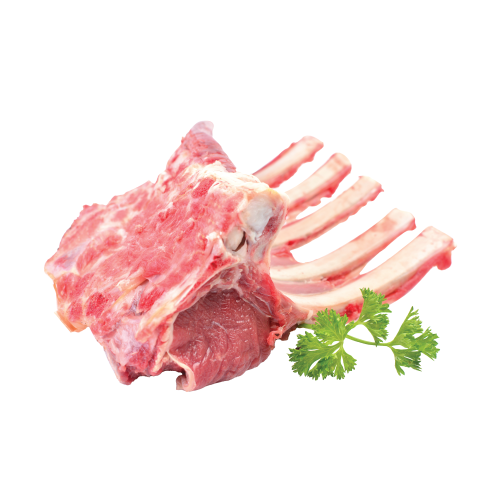 Lamb