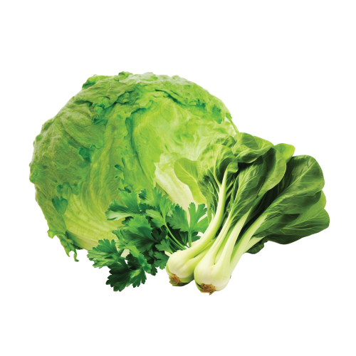 Lettuce & Leaves
