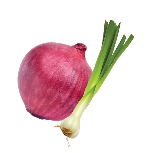 Onions & Leeks