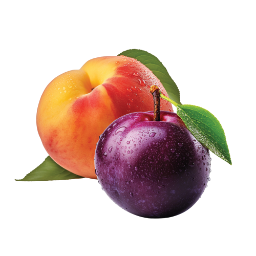 Peaches, Plums & Apricot