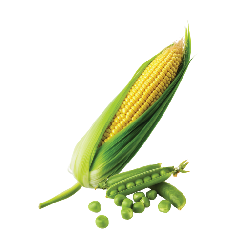 Peas, Beans & Sweet Corn