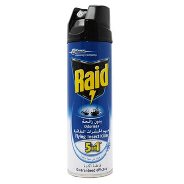 Raid Flying Insect Killer Odorless Spray 300ml - Available at Alosra Online Supermarket