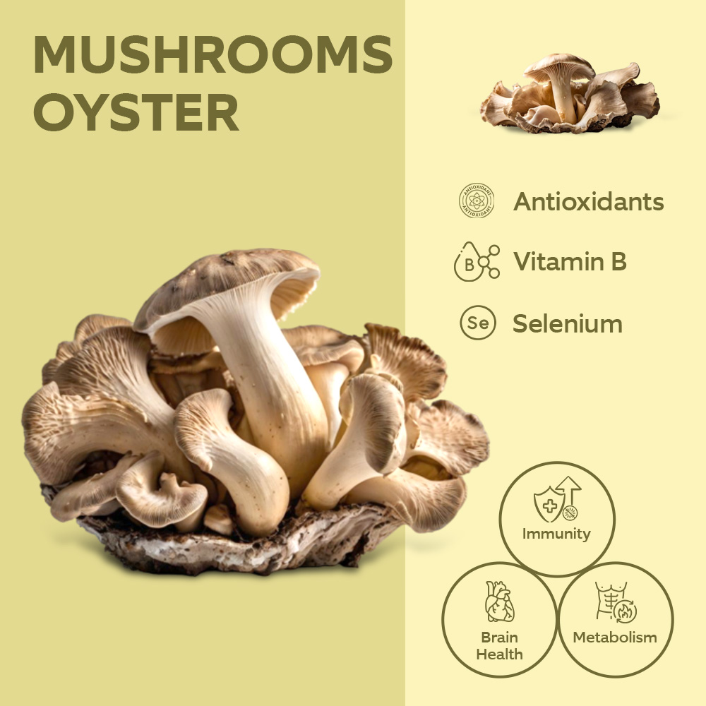 Mushrooms Oyster [Pre-packed] lifestyle image