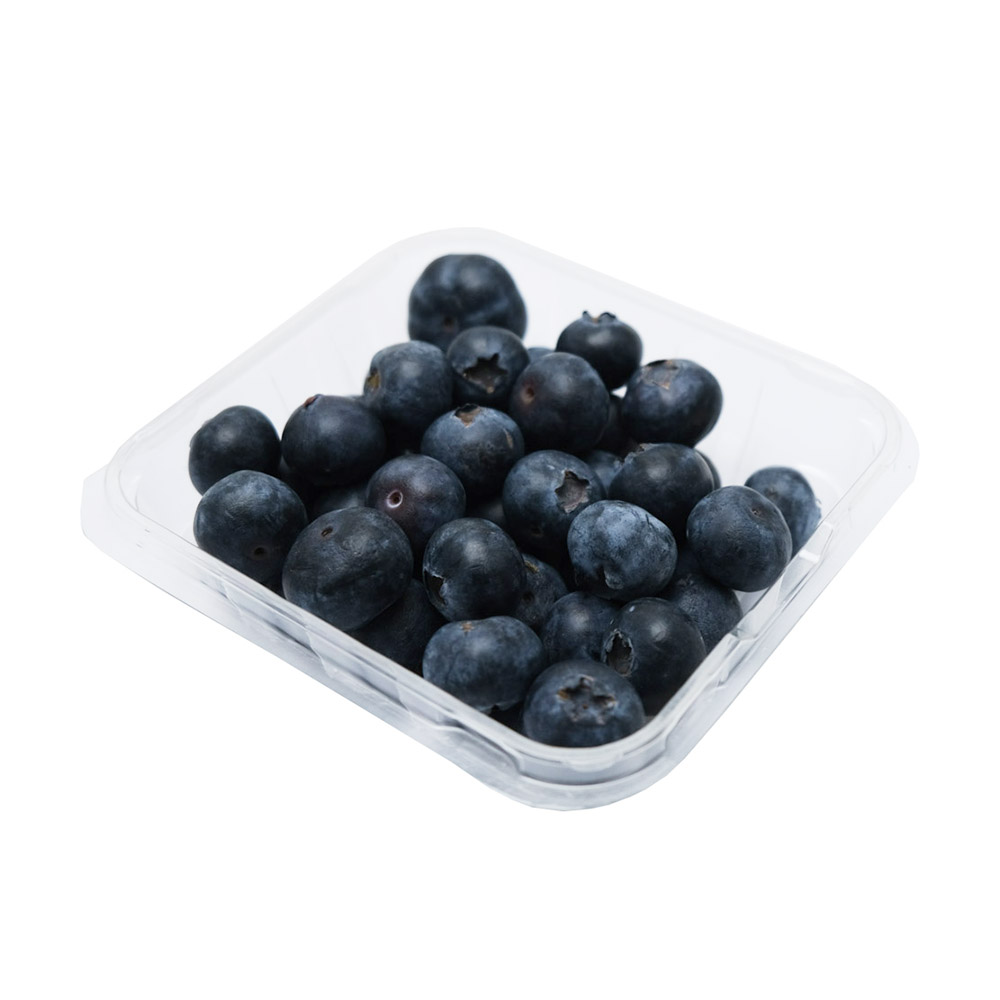 Sanlucar Blueberries 125g back image