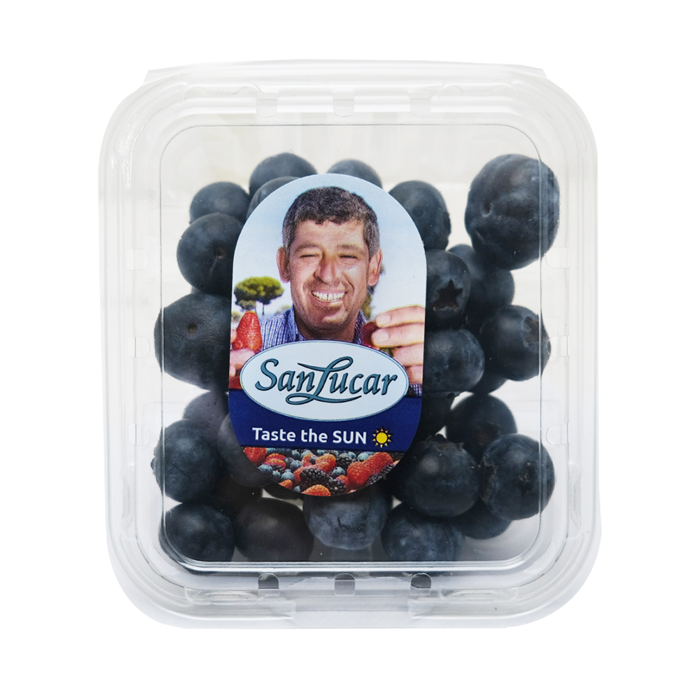 Sanlucar Blueberries 125g