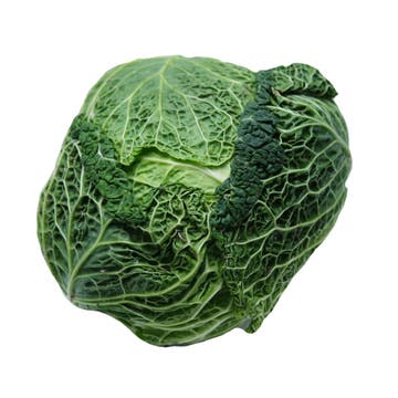 Savoy Cabbage Import [Per Kg] - Available at Alosra Online Supermarket