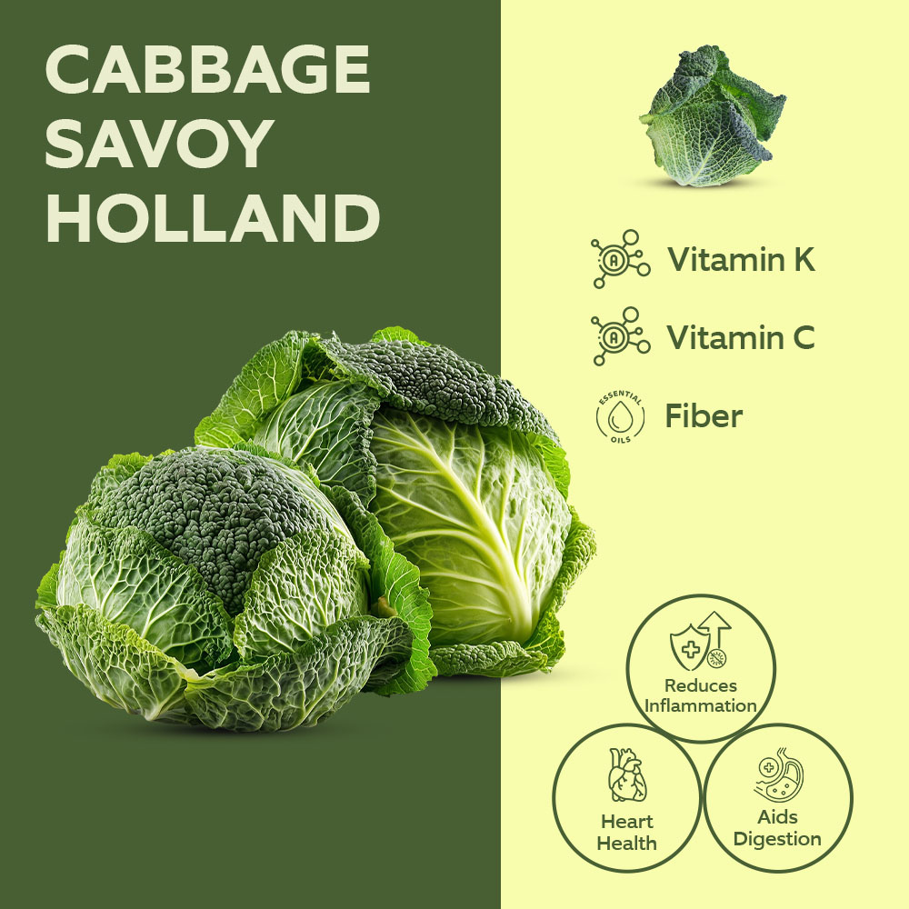 Savoy Cabbage Import [Per Kg] lifestyle image