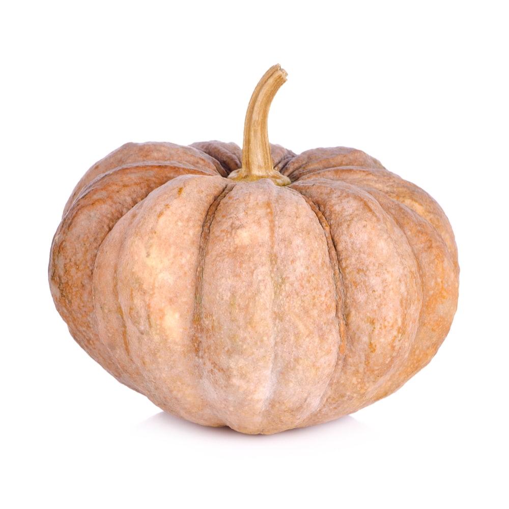 Pumpkin Big [Per Kg] - Available at Alosra Online Supermarket
