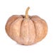 Pumpkin Big [Per Kg]