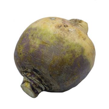 Swede [Per Kg] - Available at Alosra Online Supermarket