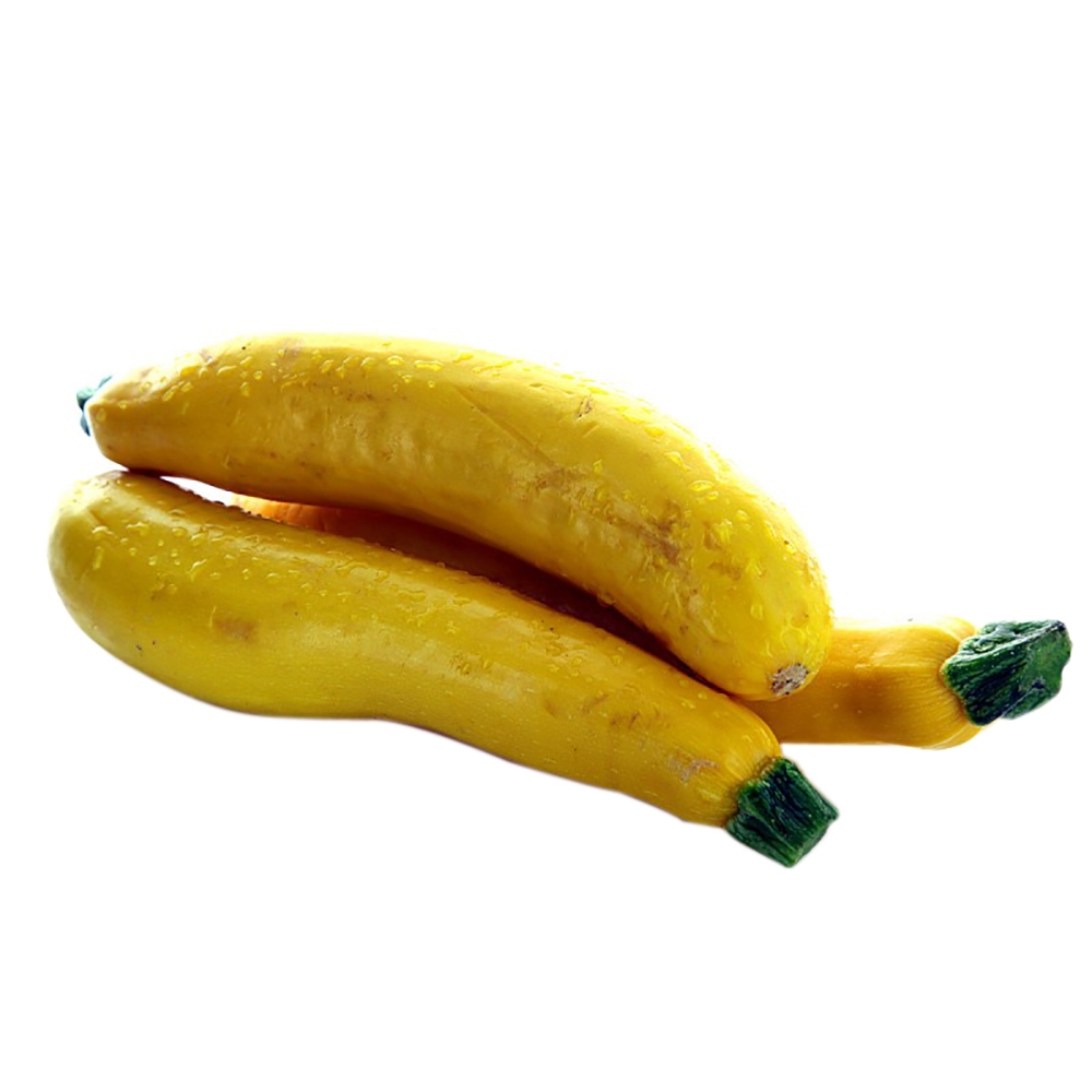 Plp