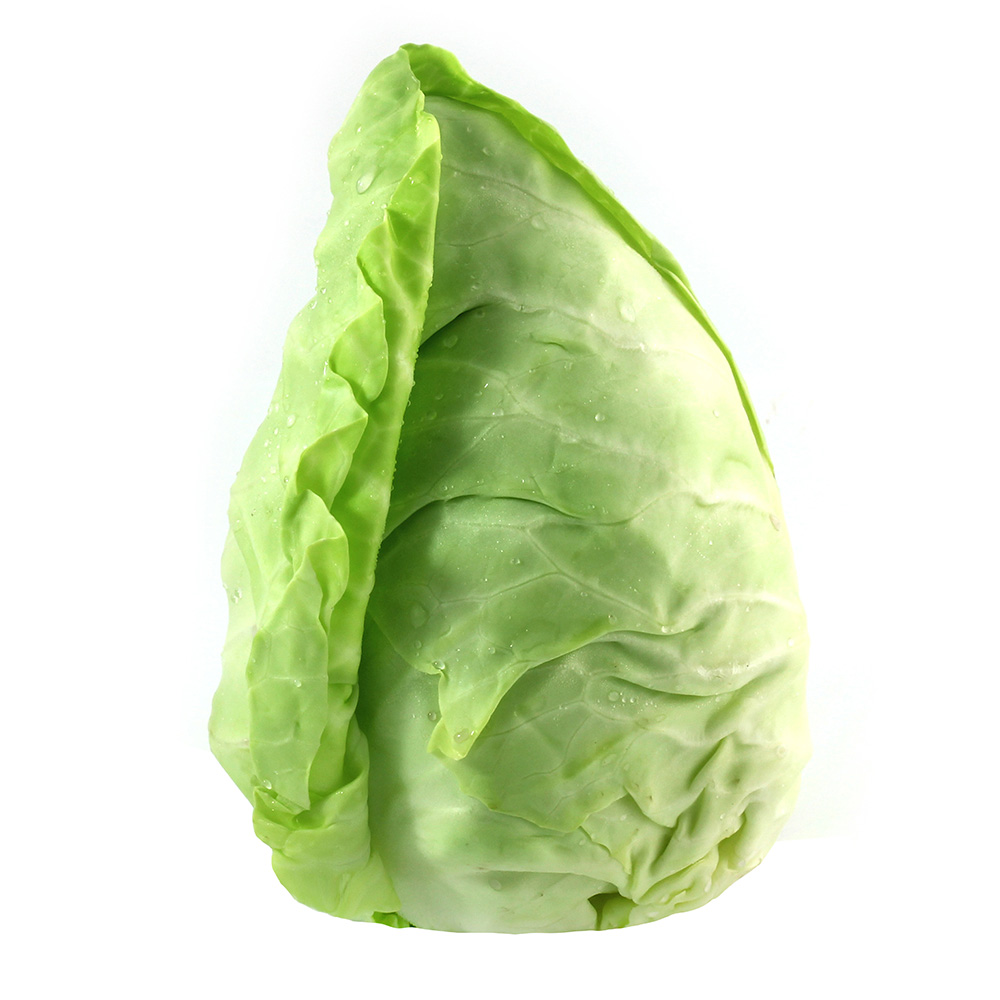 Plp