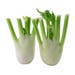 Fennel Italy [Per Kg]