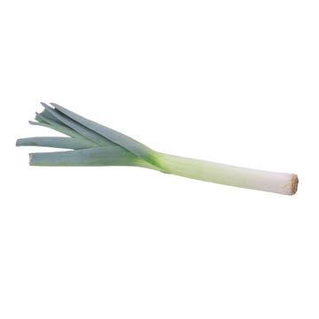 Leeks Import [Per Kg] - Available at Alosra Online Supermarket
