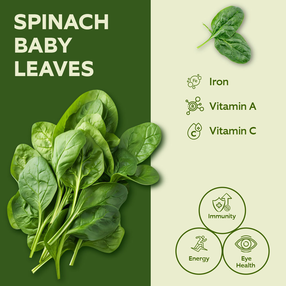 Baby Spinach Leaves 125g [Per Pack] lifestyle image