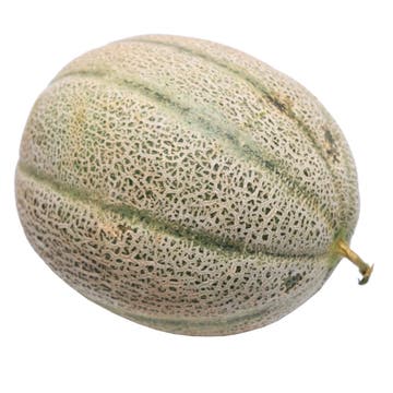 Rock Melon M.E [Per Kg] - Available at Alosra Online Supermarket