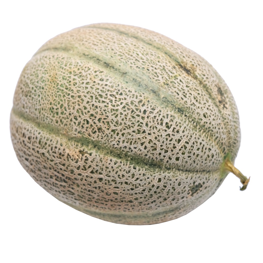 Rock Melon [Per Kg] - Hearty & Satisfying - Available at Alosra Online Grocery Store.