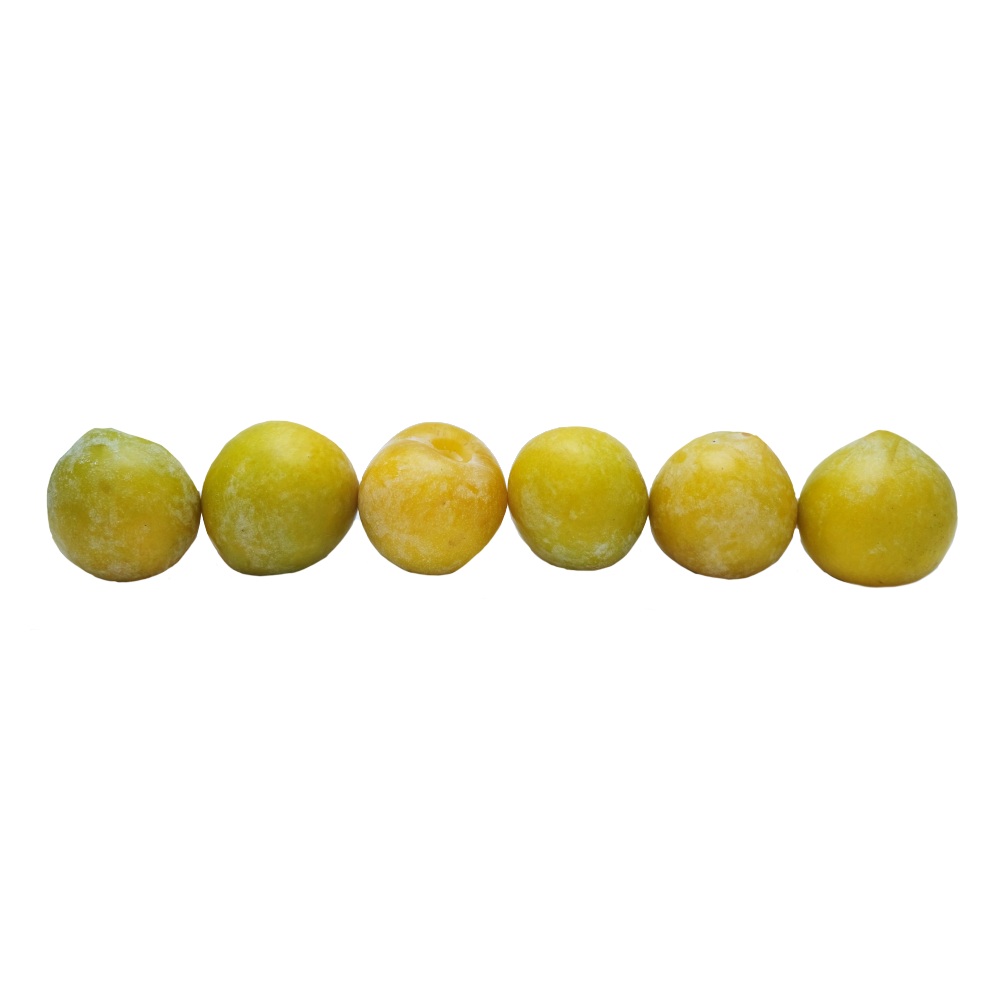 Plums Yellow [Per Kg] back image