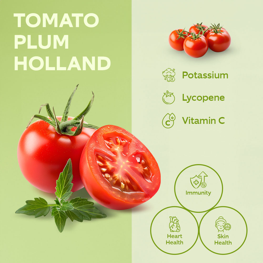 Tomato on the Vine Plum Import [Per Kg] lifestyle image