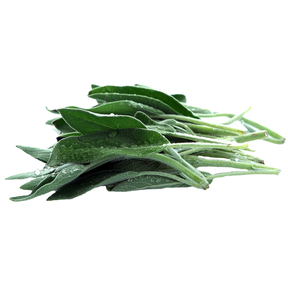 USA Sage Pre-Packed - Available at Alosra Online Supermarket