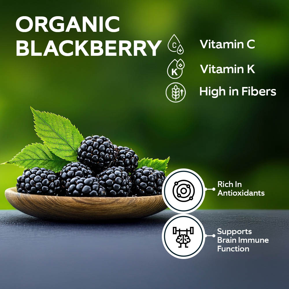 Driscoll's Organic Blackberry 170g [Pre-Packed] lifestyle image