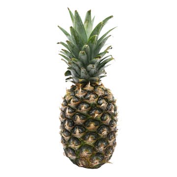 Golden Pineapple [Per Piece] - Available at Alosra Online Supermarket