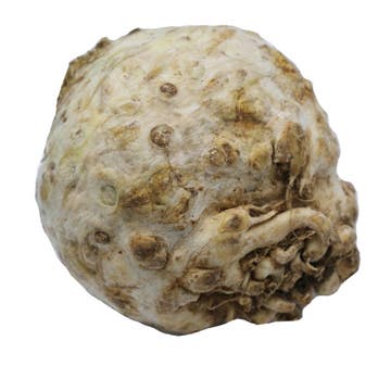 Celery Root Import [Per Kg] - Available at Alosra Online Supermarket