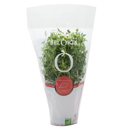 Thyme Per Pot Import - Available at Alosra Online Supermarket