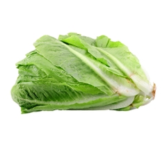 Lettuce Long [Per Kg] - Available at Alosra Online Supermarket