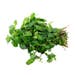 Mint Leaves Bunch [Pre-Packed]