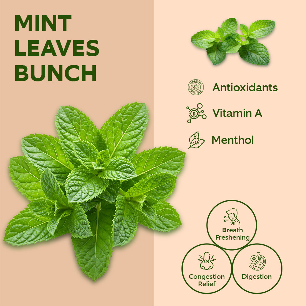 Mint Leaves Bunch [Pre-Packed] lifestyle image