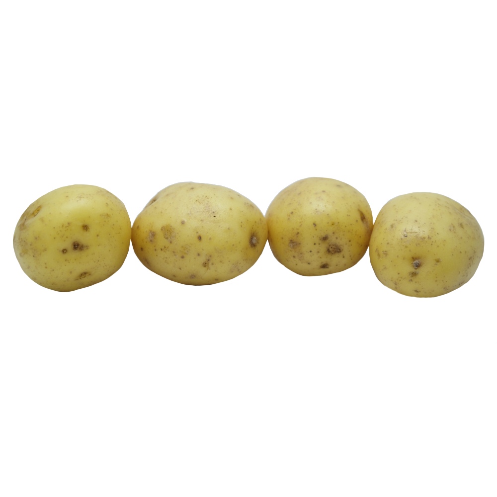 Baby Potato [Per Kg] back image