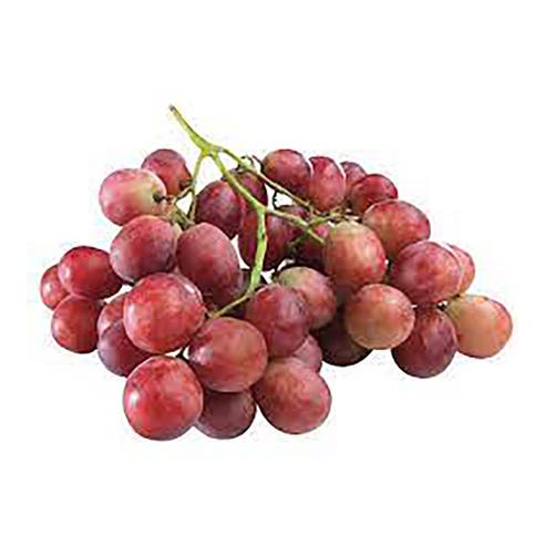 Red Grapes Globe [Per Kg] - Available at Alosra Online Supermarket