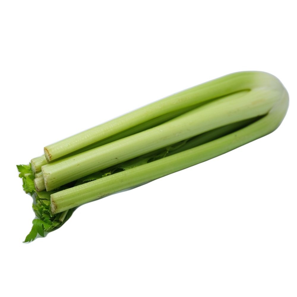 Celery Organic [Per Kg] back image