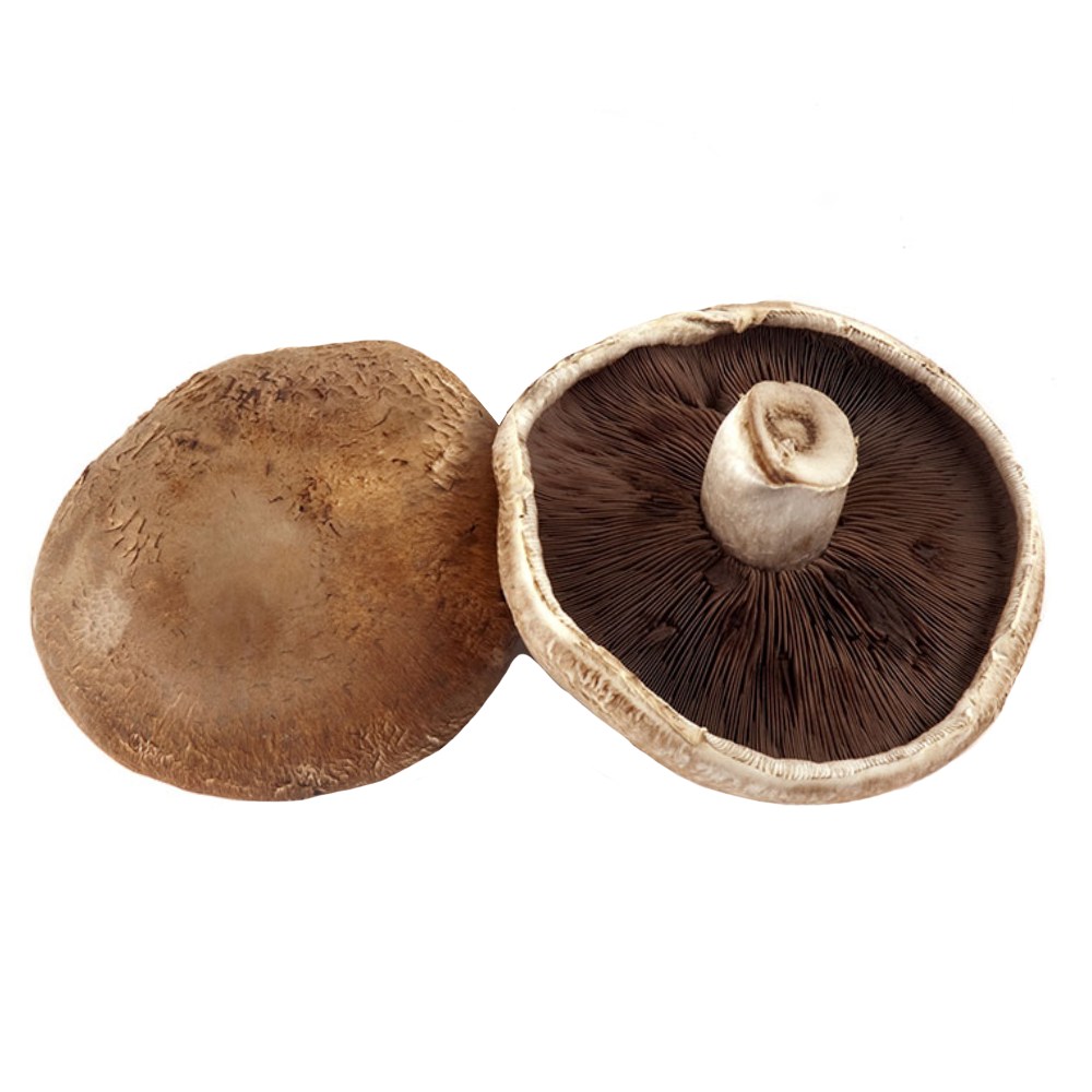 Mushrooms Portabella Import Pack back image