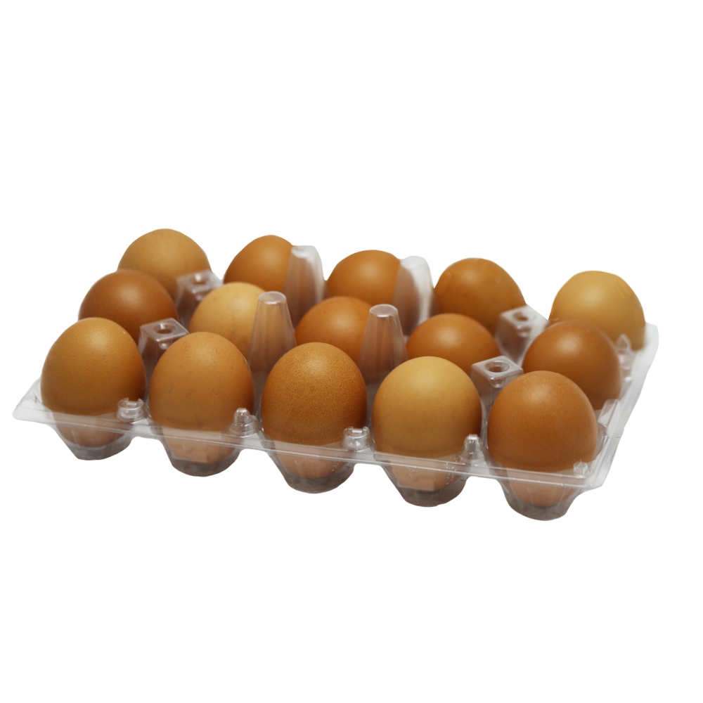 DHA Omega-3 Golden Eggs Brown/White [15 Pieces] back image