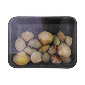 Clams [Per Kg]