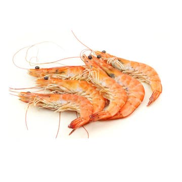 Frozen Large Shrimp 10/20 [Per Kg] 
