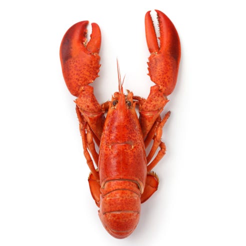 Defrosted Lobster [Per Kg] - Available at Alosra Online Supermarket