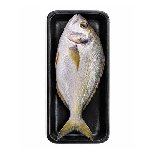 Fresh Safi [Per Kg] - Available at Alosra Online Supermarket
