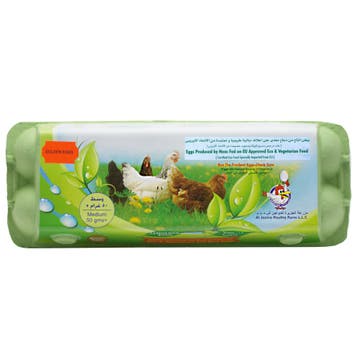 Golden Eggs Organic 12's Feed (W/B) 