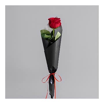 Single Red Rose 