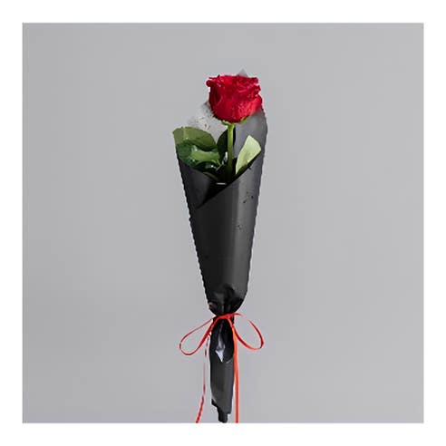 Single Red Rose 