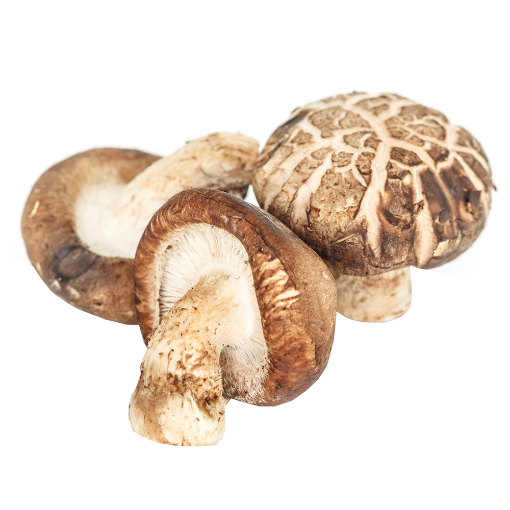 Shiitake Mushrooms Thai [Per Piece] - Available at Alosra Online Supermarket